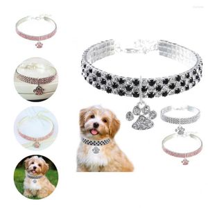 Dog Collars Helpful Bright Color Puppy Collar Kitten Necklace Glossy Flexible