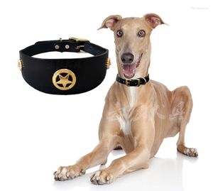 Dog Collars Leather Collar MediumおよびLarge Whybit Greyhound Doberman WalkingAccesoriosペット用品アイテム