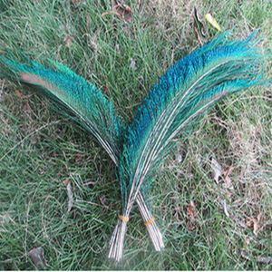 Cały 1000 szt. Peacock miecz Fern Fern 25-30 cm 10-12 cala ślubna dekoracje 298d