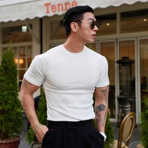 Camisetas Masculinas 2023 Summer Men T shirt Masculina Sports Gym Muscle Fitness T Shirt Stripe Knit Bodybuilding Tee Tops Clothing 230719