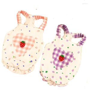 Odzież dla psów 2023 Letnia spódnica Puppy Small Costume Dress Strawberry Heart Vester