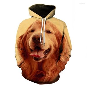 Moletons masculinos Golden Retriever masculino/feminino primavera inverno moletom com capuz estampado em 3D para cachorros de manga comprida moletons com capuz fashion street superdimensionado