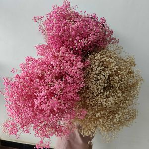 Partihandel Alla hjärtans dag Hem Dekorativ färgstark torkad blomma Boho Torkade blommor Bukett Konserverade Gypsophila Flower