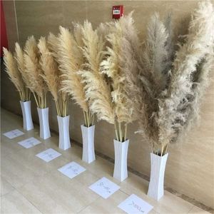 O-8017 OULI Prezzi Super Bassi Settembre Erba di Pampas Fiori Secchi Secchi Per Decorazione