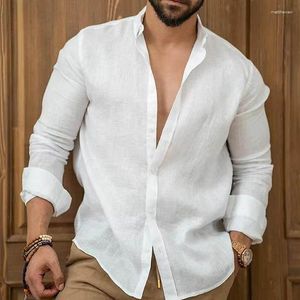 Camisas casuais masculinas de linho 2023 primavera verão cor sólida lapela blusas de manga comprida blusas soltas de peito único roupas masculinas
