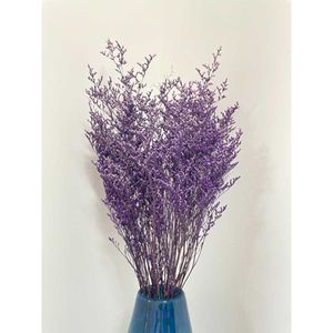 bevarade naturliga torkade blommor grossist caspia dimy limonium bevarade limoniumblommor gräs bevarade blommor och växter