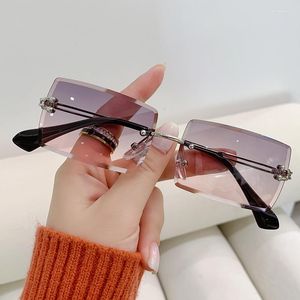 Sunglasses Fashion Small Frame Cut Edge Gradual Colors For Women Street Snap Shading