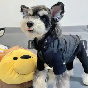 Modischer warmer Kapuzenpullover für Katzen und Hunde, einfacher Designer-Schnauzer, französische Bulldogge, haarlose Katze, Haustier-Hunde-Kapuzenpullover