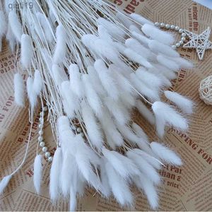 Kurutulmuş Çiçekler 55pcs Bunny Tavşan Kuyruk Çim Doğal Kurutulmuş Çiçekler Buket Düğün Noel Dekorasyon Lagurus Pampas Ev Dekoru Fotoğraf Props R230720