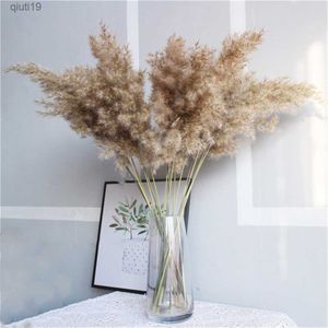 Torkade blommor riktiga torkade pampas gräs bröllop blomma gäng naturliga växter heminredning torkade blommor fragmit blommor prydnads jul r230720