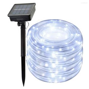 Strängar Solar Rop String Light Outdoor 30m 300 LED Powered Fairy Copper Wire PVC Tube för DIY Garden Chulty Decor