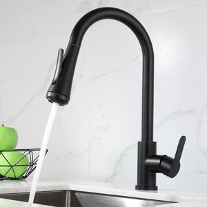 Kitchen Faucets Pull Out Faucet Sink Mixer Tap Stream Sprayer 360 Degree Rotation Taps 304 Stainless Steel