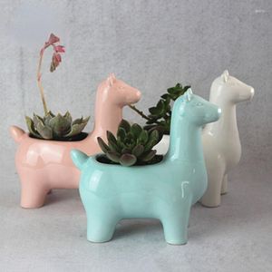 Planters Korean Cartoon Cute Animal Alpaca Ceramic Flower Pot Miniature Model Succulent Flowerpots Indoor Planter Home Garden Decoration