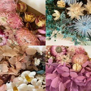 Dried Flowers Dried Flowers Babys Breath Eternal Hhydrangea Flower DIY Real Forever Dried Flower Resin Mold Making Nail Art Embossing Material R230720