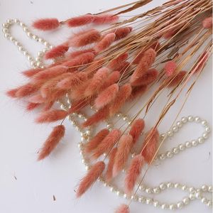 Dekorative Blumen 60 Stück Schwanzgras natürlicher getrockneter Pampas-Blumenstrauß für Hochzeitsfeier, Dekoration, Erdbeere, Boho-Heimdekoration