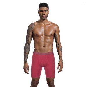 Cuecas Perna Longa Shorts Boxer Masculino Cuecas Calcinhas Masculinas Boxers de Algodão Natural de Alta Qualidade Sexy