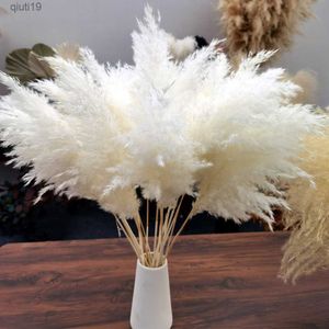 Dried Flowers 10/20 Pcs Cream Pampas Grass Decor Fluffy Dried Pampas Wedding Flower Bunch Natural Plants for Home Valentines Day Gift R230720