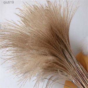 Flores secas 60 pçs pequenos juncos secos naturais pampas grama flores buquê boho decoração de sala de estar festa de casamento arranjo de grama decoração r230720