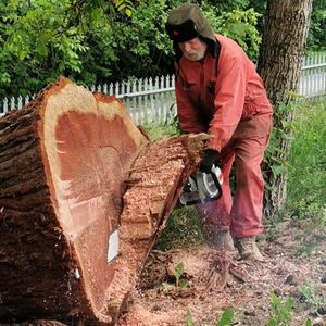 30 36 42 bar 070 ŁAMIONA 105 cm3 Największa piła łańcuchowa silnikowa długa fabryka wielkiej drewna sprzedawana z jednym Y229Y