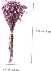 Fiori secchi Mazzi secchi naturali Fiori secchi freschi conservati Piccoli fiori secchi naturali Bouquet Fiori secchi Press Home Wedding Decor R230720