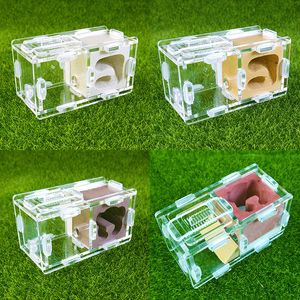 Small Animal Supplies Beautiful Reptile Terrarium Ant Farm Acrylic and Gypsum Ant Breeding Hobby Insect Supplies Unique Gifts 230719