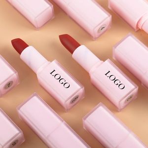 Lipstick Light Color Matte Easy To Wear All Lips Tints Waterproof Moisturizing Private Label Solid Custom Bulk Makeup Beautiful 230720
