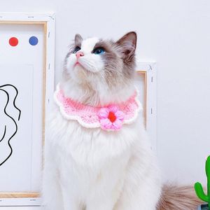 Vestuário para cães coleiras de gato com sino coleira pequena para cães masculinos Sp couro separatista