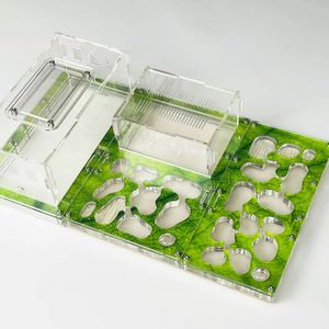 Suprimentos para pequenos animais 31198CM tamanho grande Faça você mesmo Acryl Flat Ant Farm Ninho grande com área de alimentação Casa Pet formigueiro Oficina Várias cores 230720