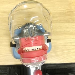 Другая гигиена полости рта простая модель головы стоматологическая симулятор фантом для стоматолога Образования Стоматолога Модель руководителя Phantom для учебного аппарата 230720