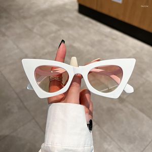 Sunglasses Vintage Fashion Cat Eye Sexy Ladies Women For Men Designer Punk Sun Glasses Trend Big Frame Shades UV400