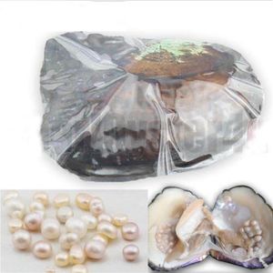 Freshwater Giant Oyster with 20-30 Natural Pearls, Vacuum-Sealed, Aged 6-10 Years - Ideal for Christmas (BP010237g)