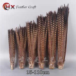 Kudde 10st/Lot Natural Ringneck Pheasant Tail Feathers For Crafts 2575cm 1030 