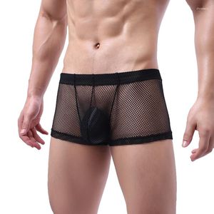 Cuecas Sexy Lingerie Malha Boxer Shorts Masculino Cueca Arrastão Transparente Sissy Gay Cueca Boxershorts 2XL