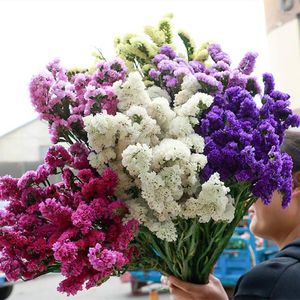 Decorative Flowers Real Dried Natural Flower Forget Me Not Bouquet Eternal Floral Wedding Party Valentine's Day Christmas Home