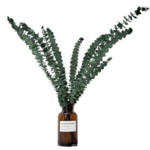 Dekorative Blumen Dusche Eukalyptus Stiele Home Decor Blume Herzstück natürliche trockene große Pflanze Zweige Arrangement