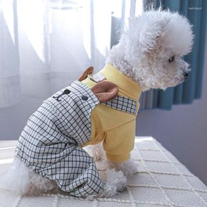 Hundebekleidung, Haustierkleidung, Cartoon-Frühlings-Overall, Welpe, Bär, schönes Paar, Kleid, Hose, warmes Outfit, kleines Kostüm