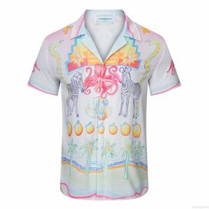 Casa Designer Fashion Clothing Shirts Tracksuits 2023 New Casablanca Octopus Zebra Printed Short Sleeve Shirt for Men Women's Casablanca
