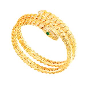 nuovi braccialetti bangle con serpente a doppio strato di diamanti per donna oro uomo fascino bracciale tennis infinito gioielli di design di lusso festa di moda regali di nozze ragazze di compleanno