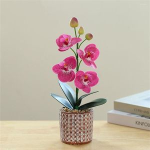 Fiori decorativi Phalaenopsis Fiore artificiale Bonsai Decorazione domestica creativa Simulazione Pianta verde in vaso