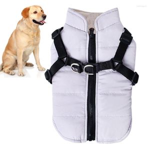 Abbigliamento per cani Abbigliamento impermeabile impermeabile per cani con cinghia petto piccolo snowsuit inverno inverno