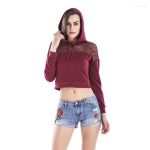 Frauen Hoodies 2023 Herbst Sweatshirt Mesh Patchwork Volle Weibliche Kurze Tops Sweatshirts