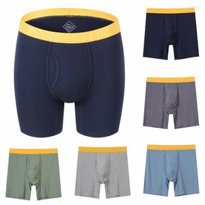 Mutande 2023 Boxer lungo in fibra di bambù di alta qualità Intimo uomo U Boxer convessi Pantaloncini Mutandine maschili morbide sexy Traspirante