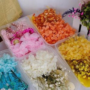 Decorative Flowers Mixed Eternal Dried Flower Materials Gypsophil Hydrangea Lover Grass For Wedding Invitation Gift Card Scented Candle