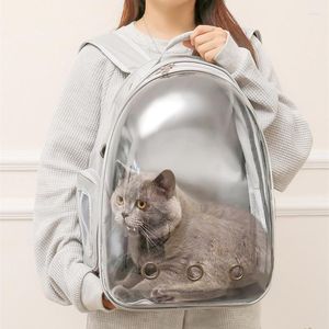 Trasportini per gatti Borsa a tracolla portatile per animali domestici Zaino da viaggio traspirante per esterni Spazio trasparente per gatti di piccola taglia