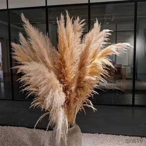 Dried Flowers Dried Flowers Wedding Arrangement Fluffy Large Grass Home Country Pompas Floral Decoration Home Garden Decor R230725