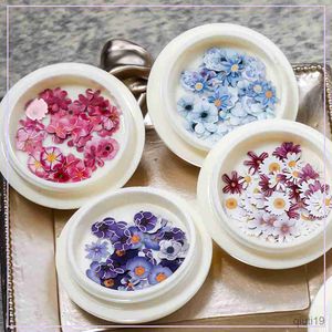 Dried Flowers New Color Flower DIY Nail Enhancement Accessories Small Daisy Sunflower Nail Patch Wood Pulp Small Flower about 50 Pieces R230725