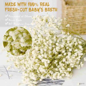 Flores secas 100g Flores secas naturais Babys Breath White Bundles Bouquet para arranjos de casamento DIY Decoração para casa mesa R230725