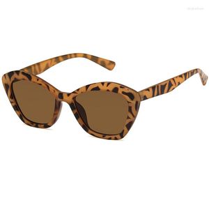 Солнцезащитные очки кошачьи глаза женщины Oculos нерегулярная линза Cateye Sun Glasses Женщины бренд дизайн оттенки Gafas de Sol Uv400