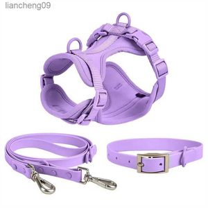 Innoexplore PVC Dog Leash and Collar Pet Lead Strong Puppy Watertof Rubber Fashion Dog Harness för stora små medelstora stora hundar L230620