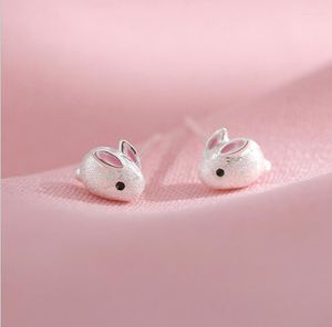 Stud Earrings Christmas Jewelry For Women Cute Animal Pendientes Hombre